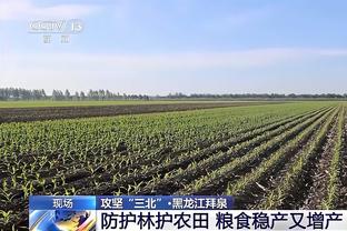 霍伊伦本场数据：1次关键传球，1次射偏，1次染黄，评分6.7